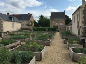 Comment les jardins partagés renforcent le lien social et la biodiversité en Anjou