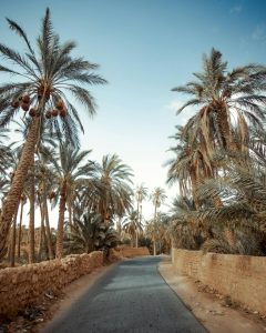 Séjour en Algérie : conseils pratiques pour bien préparer son départ
